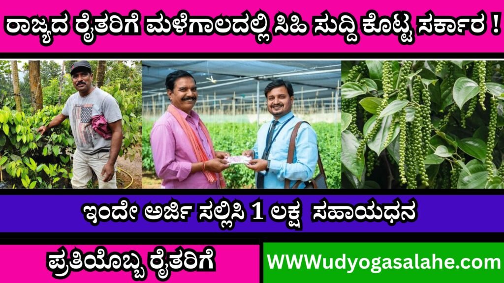 Black Pepper Farming Subsidy | ಕರ್ನಾಟಕದ ರೈತರಿಗೆ ಕಾಳು ಮೆಣಸು ಬೆಳೆಗೆ ₹1 ಲಕ್ಷ ಸಬ್ಸಿಡಿ ಹೇಗೆ ಪಡೆಯಬೇಕು? ಅರ್ಹತೆ, ಅರ್ಜಿ ಪ್ರಕ್ರಿಯೆ ಮತ್ತು ಸಹಾಯಕ್ಕೆ ಸಂಪರ್ಕಿಸುವ ವಿವರಗಳು ಇಲ್ಲಿವೆ!"