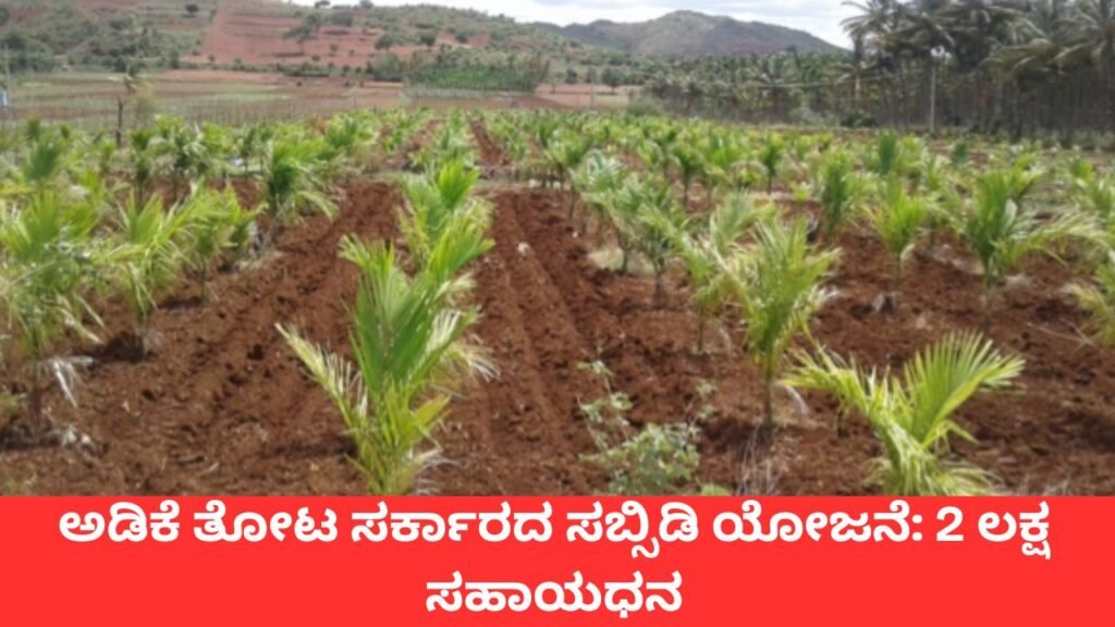 Areca Tree Subsidy In Karnataka | ಅಡಿಕೆ ತೋಟ ಸರ್ಕಾರದ ಸಬ್ಸಿಡಿ ಯೋಜನೆ: 2 ಲಕ್ಷ ಸಹಾಯಧನ