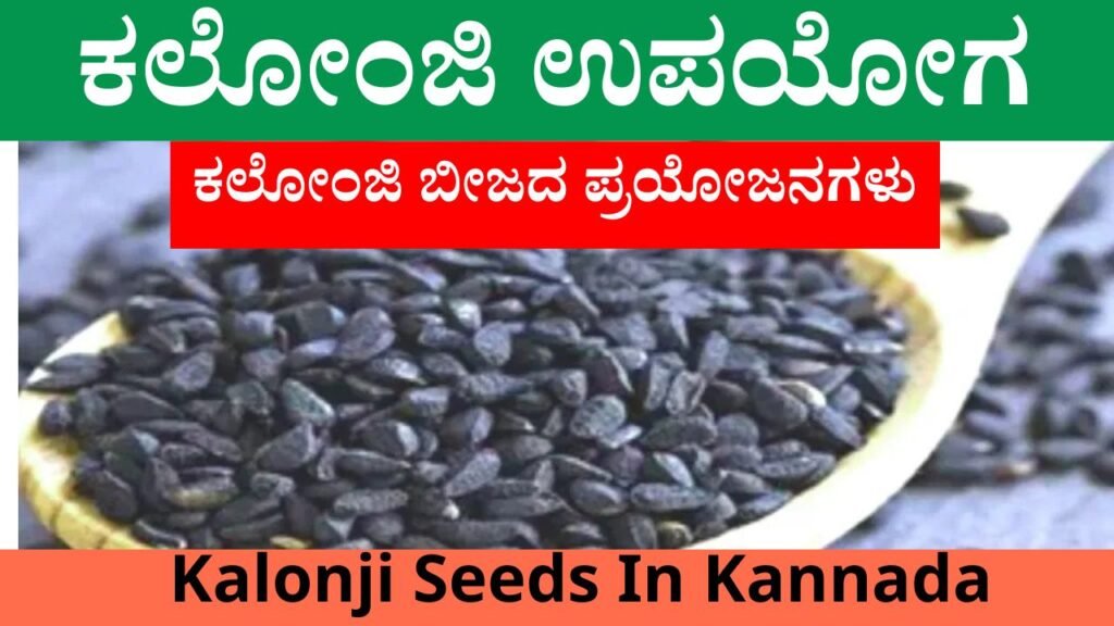 Kalonji Seeds In Kannada | ಕಲೋಂಜಿ ಉಪಯೋಗ Best No1 Information