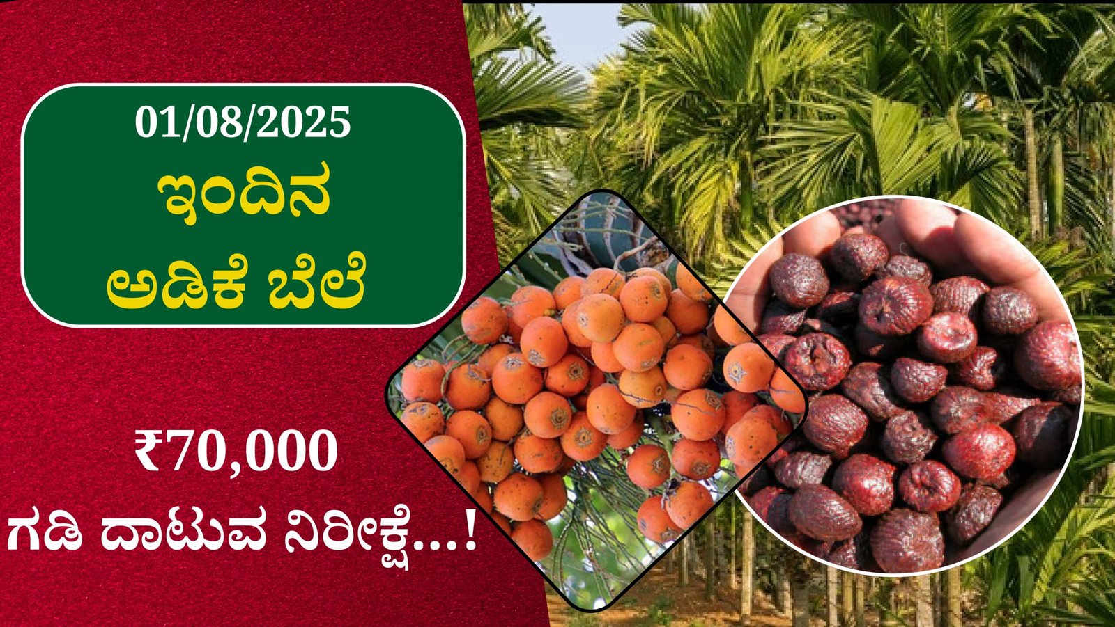 ಶಿವಮೊಗ್ಗ ಅಡಿಕೆ ರೇಟ್ ಇಂದಿನ ಅಡಿಕೆ ಬೆಲೆ । ₹70,000 ಗಡಿ ದಾಟುವ ನಿರೀಕ್ಷೆ…!